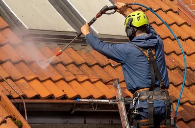 Démoussage et hydrofuge de toiture à Genouillé